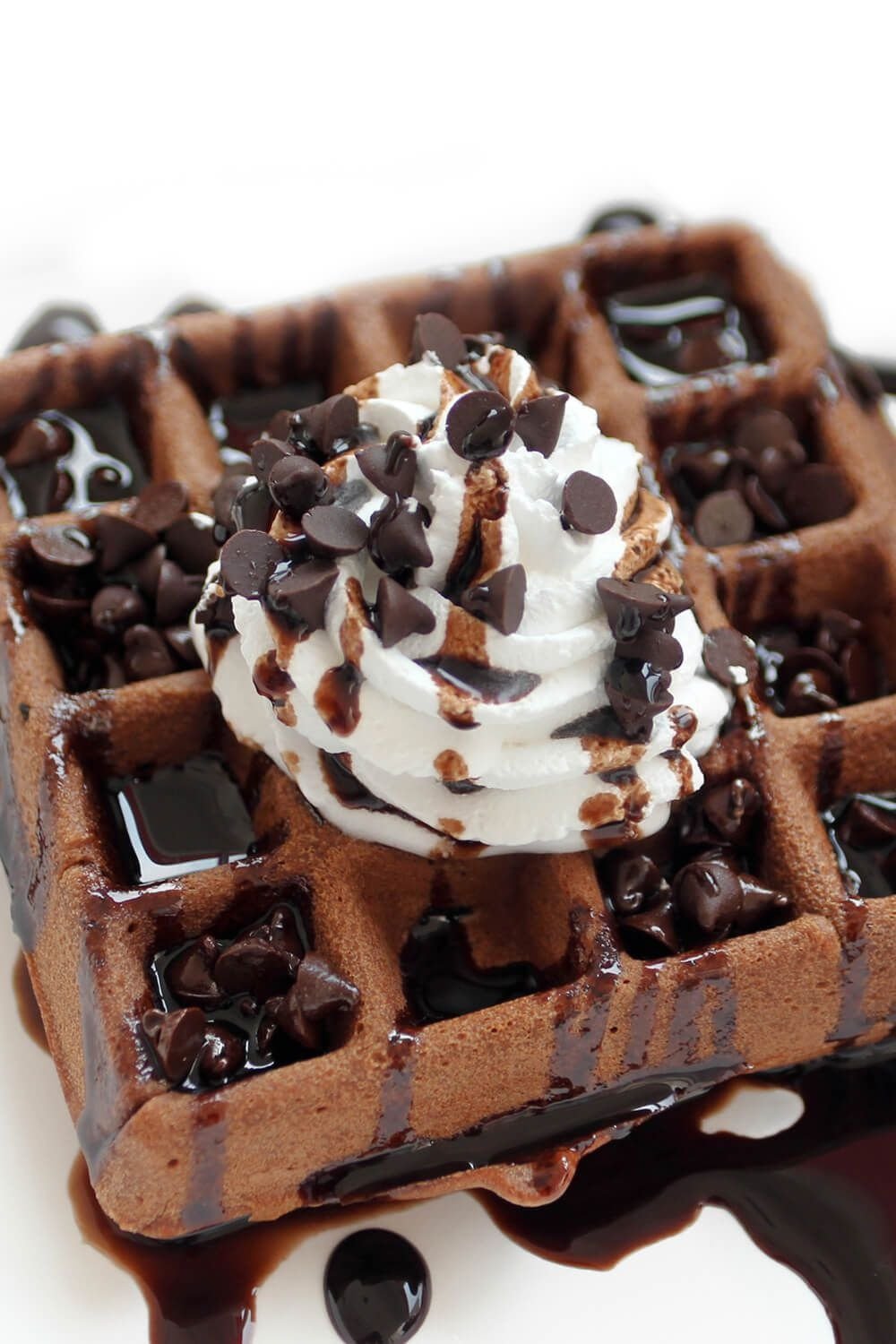Chocolate Waffle